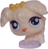 #T113 Teensiest Poodle